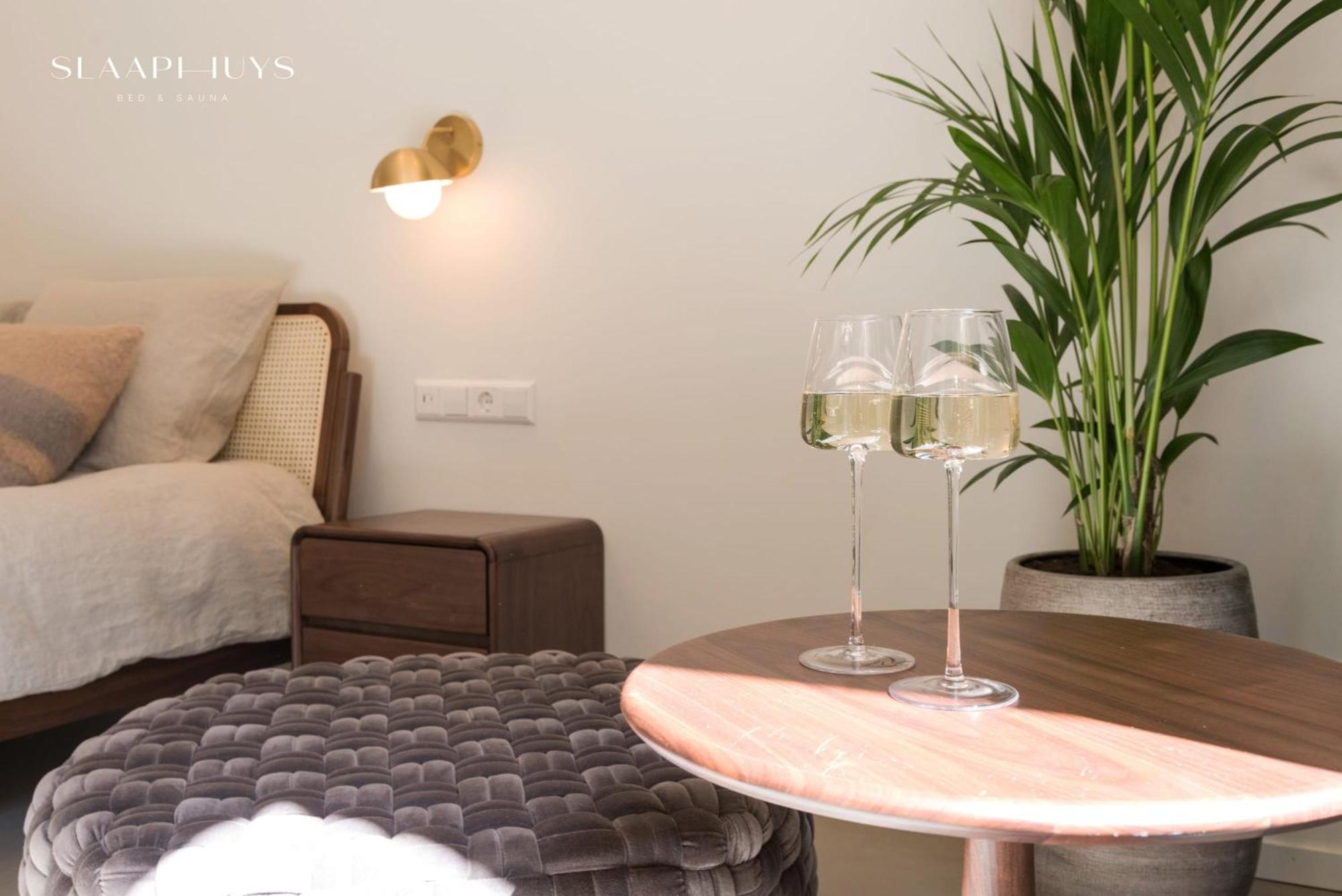 Slaaphuys Bed & Sauna Appartement